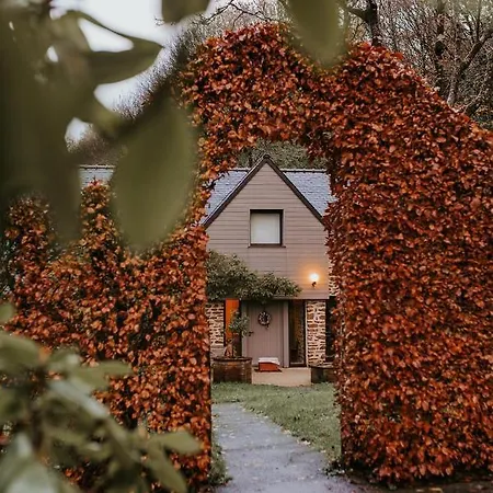 Du Bulz, En Pleine Foret Proche De La *