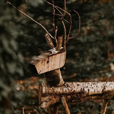 Du Bulz, En Pleine Foret Proche De La