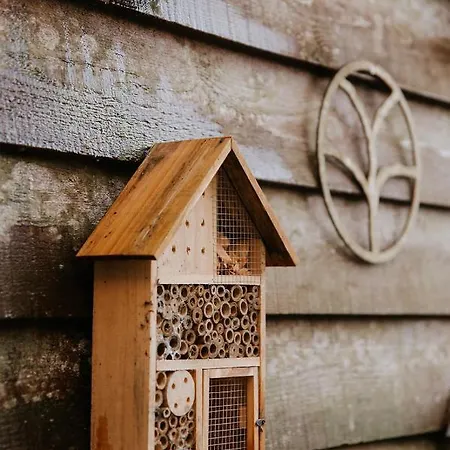 Vakantiehuis Du Bulz, En Pleine Foret Proche De La *