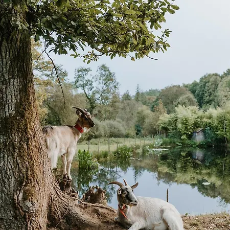 Du Bulz, En Pleine Foret Proche De La * Pleyber-Christ