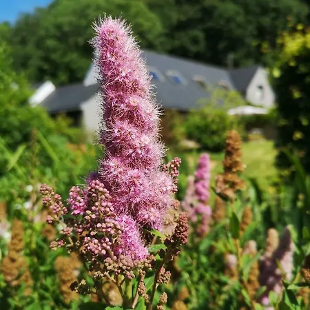 Du Bulz, En Pleine Foret Proche De La Vakantiehuis